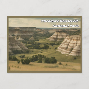 Theodore Roosevelt National Park Vintage Postcard