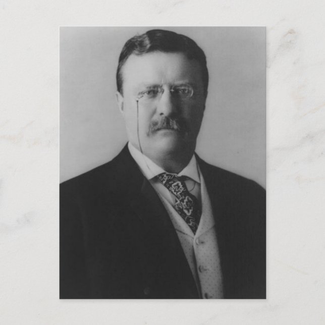 Theodore Roosevelt Portrait Postcard (Front)