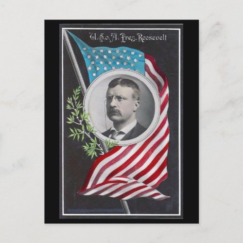 Theodore Roosevelt Postcard