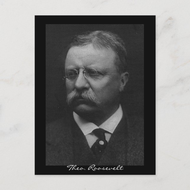 Theodore Roosevelt Postcard (Front)