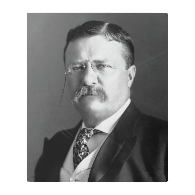 Theodore Roosevelt Teddy President Republican Metal Print (Front)