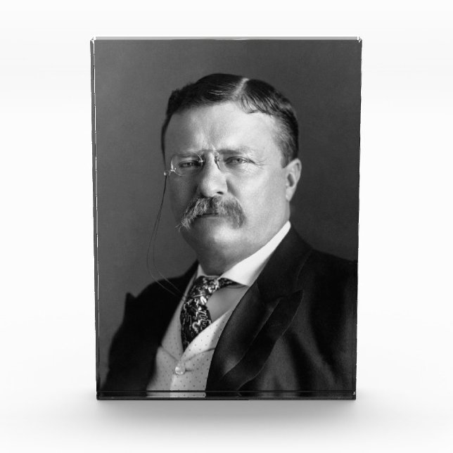 Theodore Roosevelt Teddy President Republican Photo Block (Front)