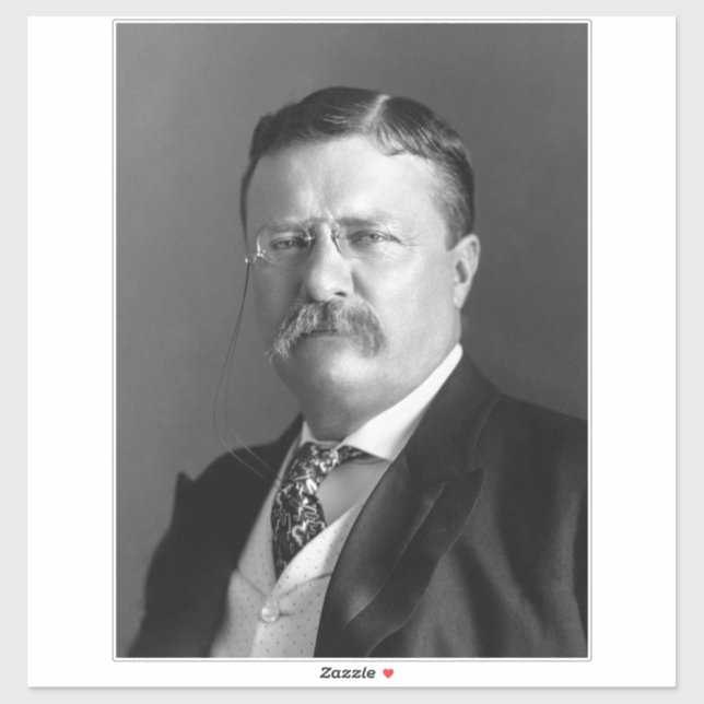 Theodore Roosevelt Teddy President Republican Sticker (Sheet)