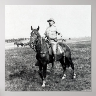 Theodore Roosevelt - The Rough Rider - 1898 Poster