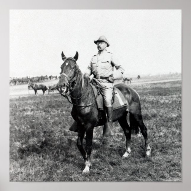 Theodore Roosevelt - The Rough Rider - 1898 Poster (Front)