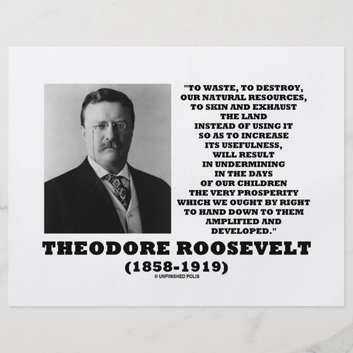 Theodore Roosevelt Waste Destroy Natural Resources Full Color Flyer