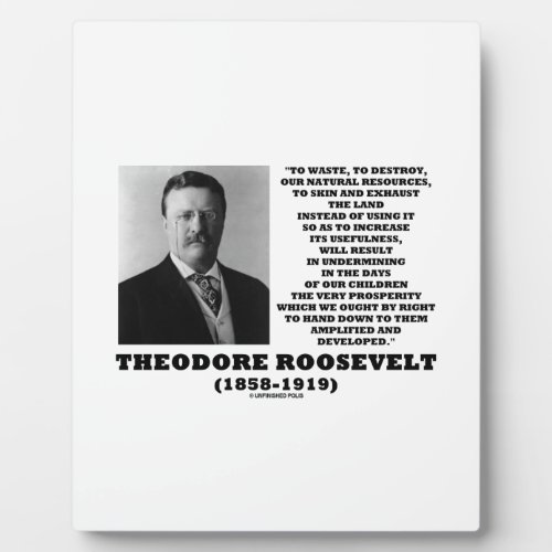 Theodore Roosevelt Waste Destroy Natural Resources Plaque