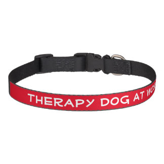 Therapy Dog at Work (medium) Pet Collar