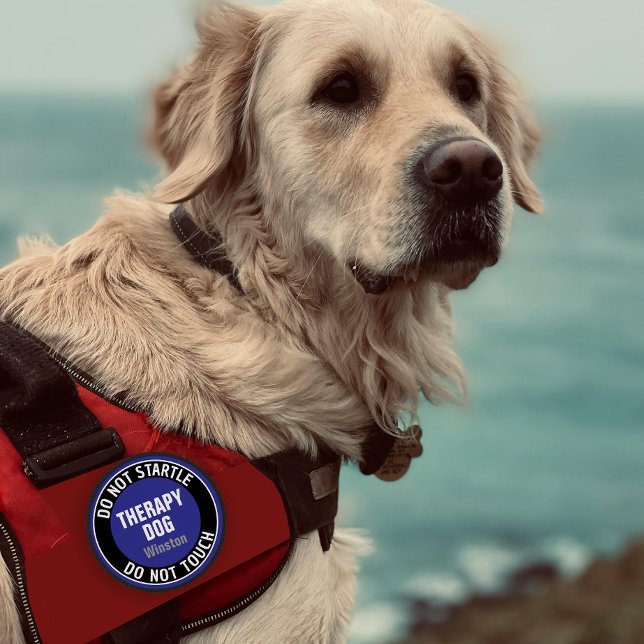 Therapy Dog DO NOT STARTLE OR TOUCH Custom Text Patch (Creator Uploaded)