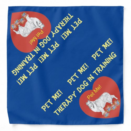 Therapy Dog in Training  Bandana Collie
