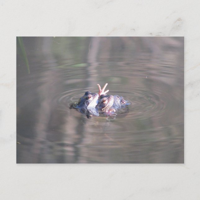 There are 3 of us in this relationship postcard (Front)