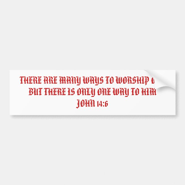THERE ARE MANY WAYS TO WORSHIP GOD BUT THERE IS... BUMPER STICKER (Front)