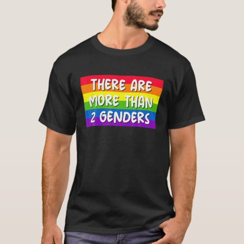There Are More Than 2 Genders Rainbow LGBTQ Omnise T_Shirt