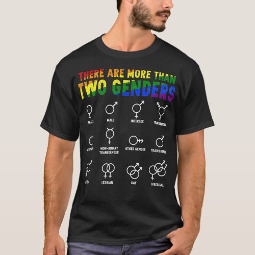 There Are More Than Two Genders Rainbow LGBTQ Prid T_Shirt