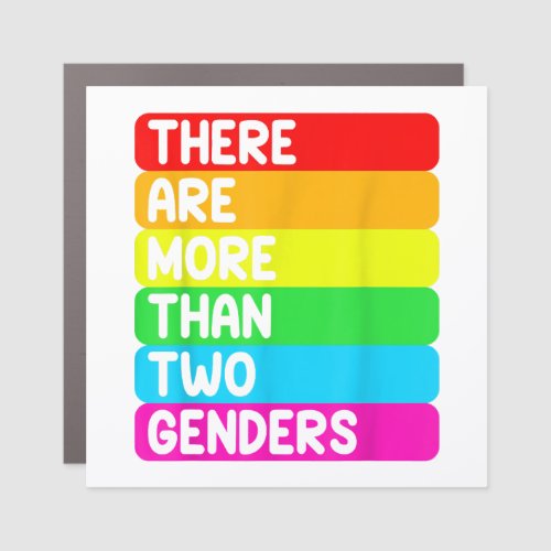 There are more than two sexes of LGBTQ rainbow fla Car Magnet