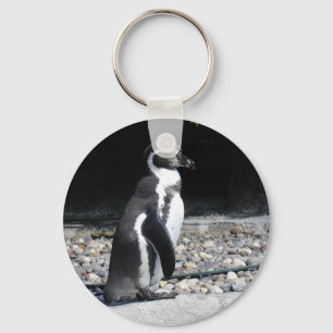 there are my friends! keychain