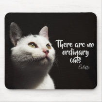 There Are No Ordinary Cats Cat Photo Poster Zazzle Com