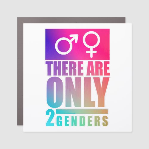 There are Only 2 Genders  Car Magnet