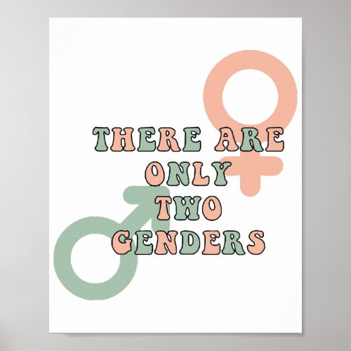 There Are Only Two Genders Poster