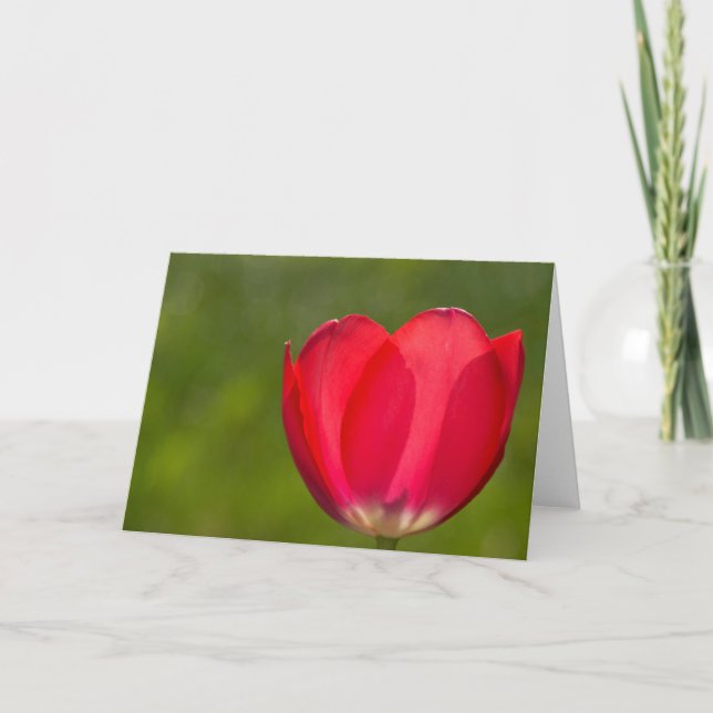 There are tulips and there are tulips card (Front)