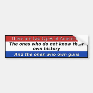 There Are Two Types Of Americans Bumper Sticker