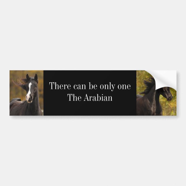 There can be only oneThe Ar... Bumper Sticker (Front)