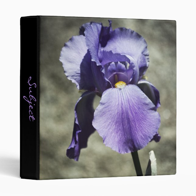 There is Beauty Binder (Front/Spine)