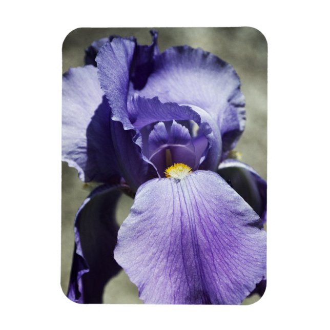 There is Beauty Premium Magnet (Vertical)