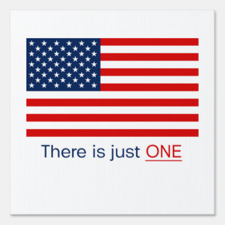 There is just one American flag. Yard Sign