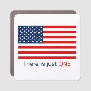 There Is Just One Flag Car Magnet