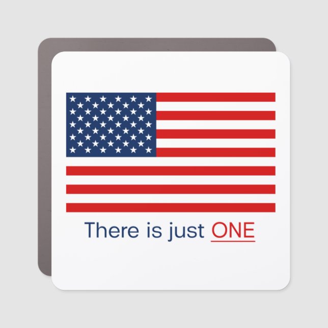 There Is Just One Flag Car Magnet (Front)