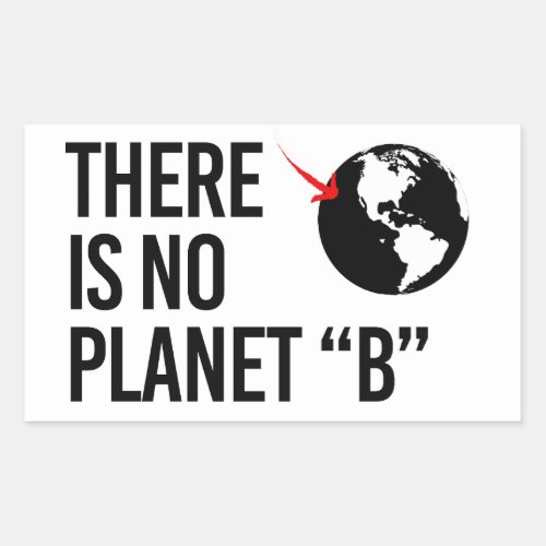 There is no Planet B Rectangular Sticker