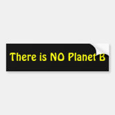 "There Is No Planet B" Bumper Sticker - 3x11.4 Inch Vinyl Decal