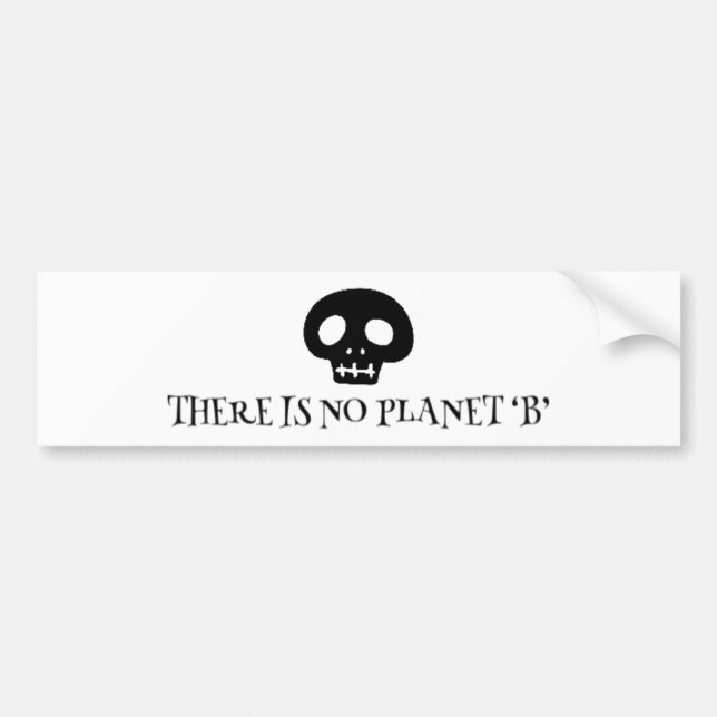 There is no planet 'B' Bumper Sticker (Front)