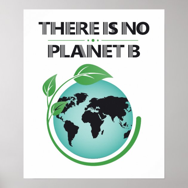 There Is No Planet B Environmental Awareness Poster | Zazzle