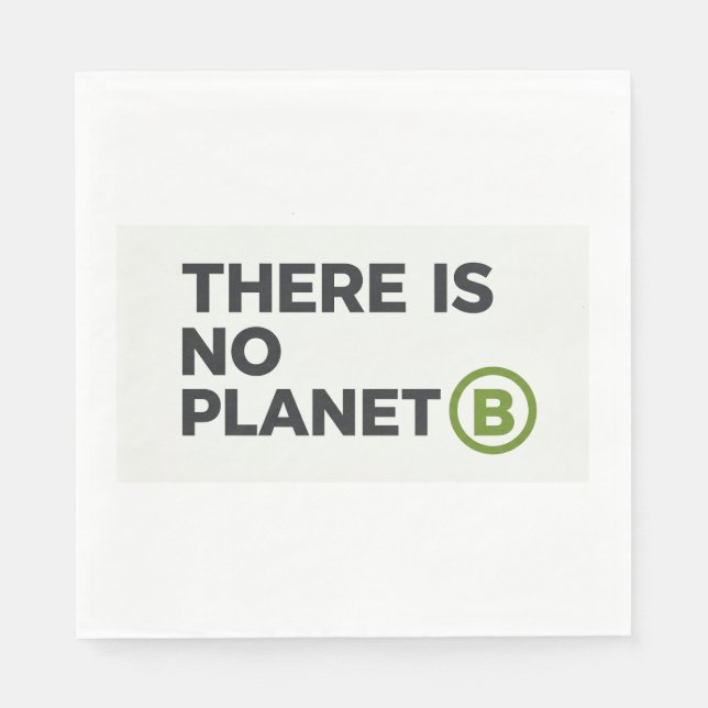 There Is No Planet B Environmentalist  Napkins (Front)