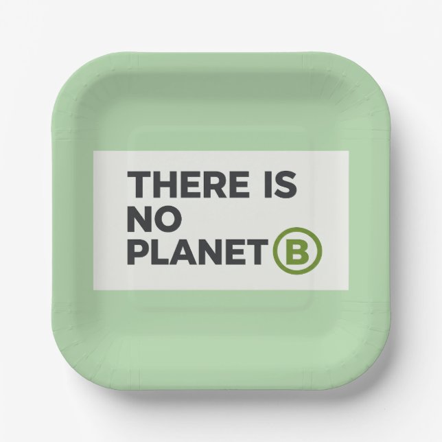 There Is No Planet B Environmentalist  Paper Plates (Front)