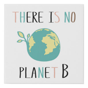 There Is No Planet B Faux Canvas Print