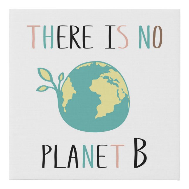 There Is No Planet B Faux Canvas Print (Front)