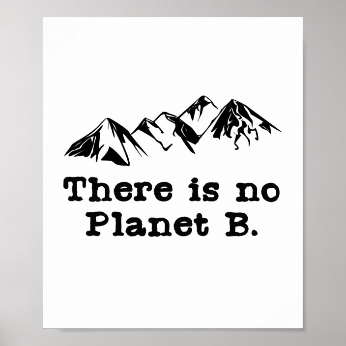 There Is No Planet B Poster | Zazzle.com