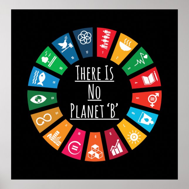 There Is No Planet B	 Poster (Front)