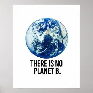 There is no Planet B Poster