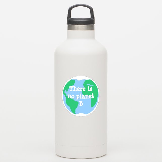 There is no Planet B Sticker (Waterbottle)