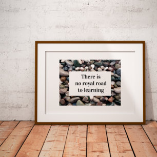 There is no royal road to learning Poster