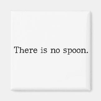 There is no spoon magnet