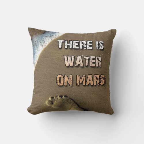 There Is Water On Mars Pillow Throw Pillow