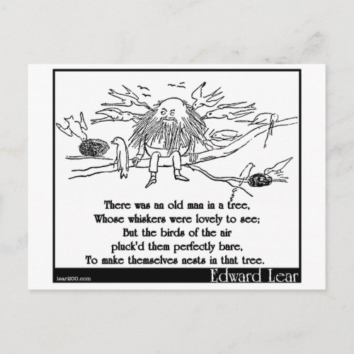 There was an old man in a tree postcard