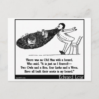 There was an Old Man with a beard Postcard