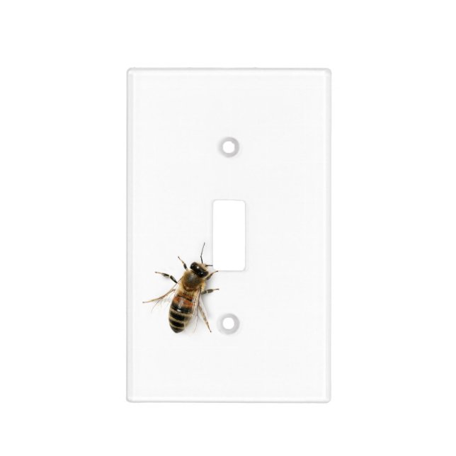 There's a Bee on my Light Switch! Funny Beekeeper  Switch Cover (Front)
