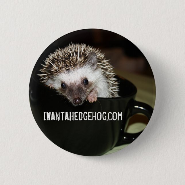 There's a hedgehog in my coffee button (Front)